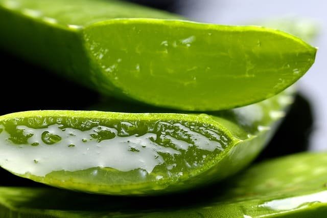 aloe-vera-6-reasons-why-you-should-use-aloe-vera-for-skin