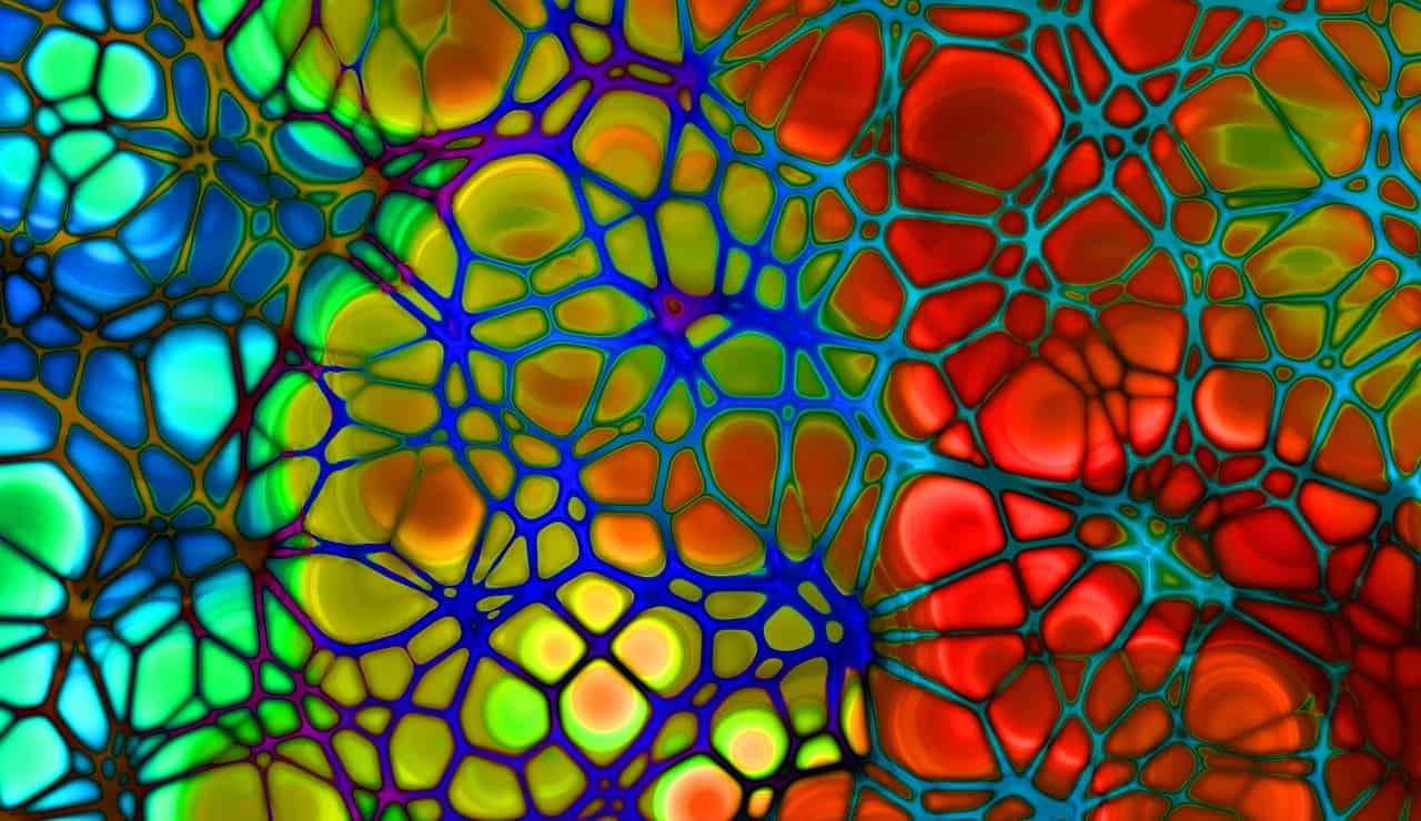 causes of high cholesterol